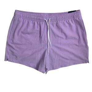 Abercrombie & Fitch Lavender Striped Men's Swim Shorts